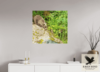 Raven Wind Photography & Illustrations-Learning the Ropes Fine Art Wildlife Print -