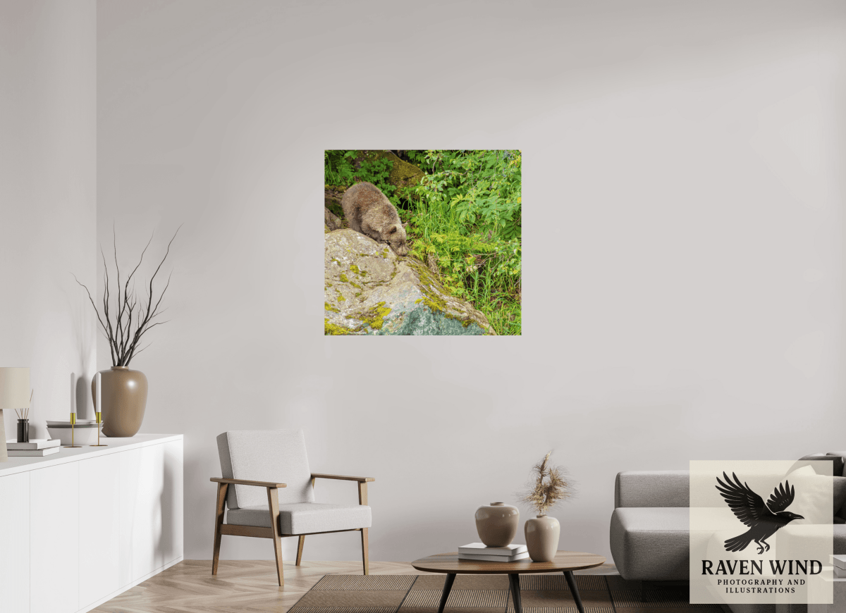 Raven Wind Photography & Illustrations-Learning the Ropes Fine Art Wildlife Print -