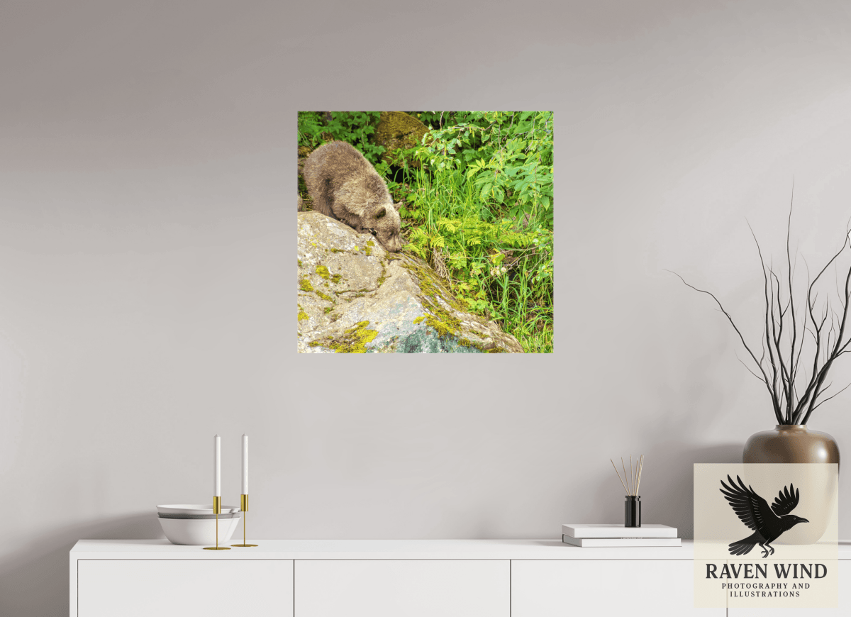 Raven Wind Photography & Illustrations-Learning the Ropes Fine Art Wildlife Print -