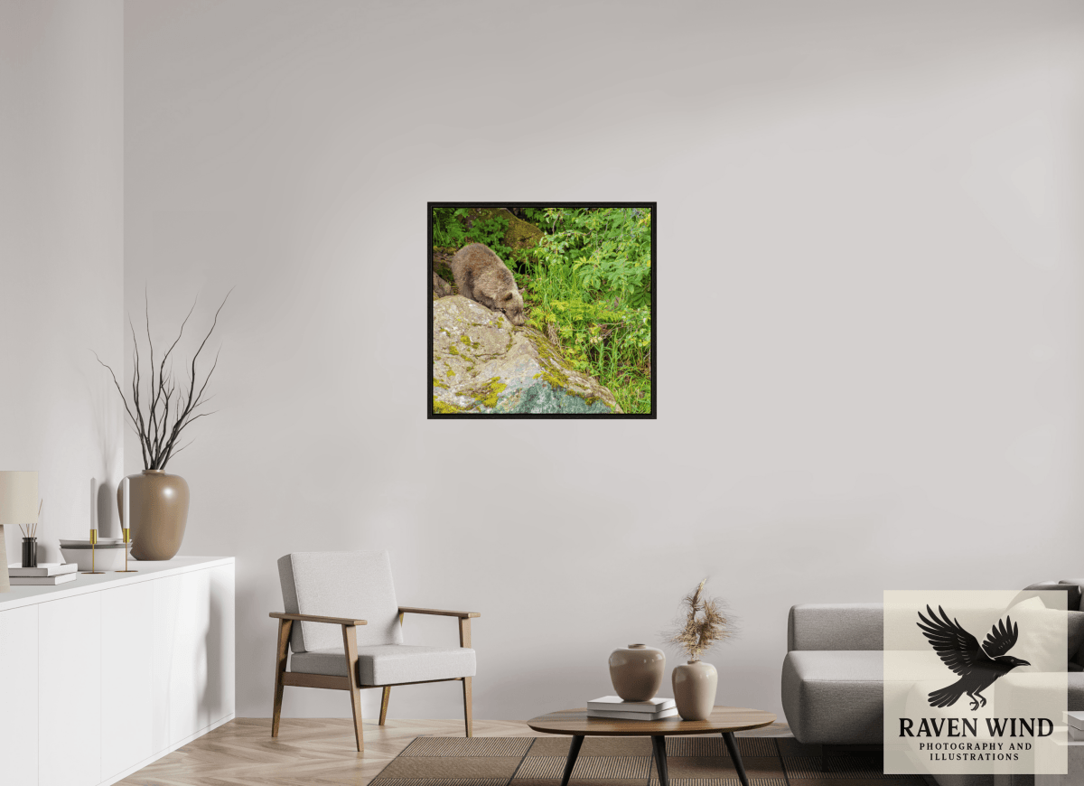 Raven Wind Photography & Illustrations-Learning the Ropes Fine Art Wildlife Print -