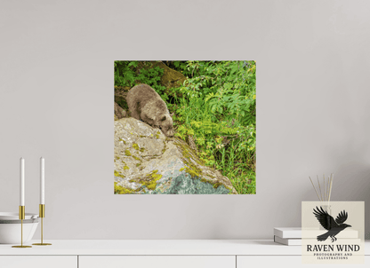 Raven Wind Photography & Illustrations-Learning the Ropes Fine Art Wildlife Print -