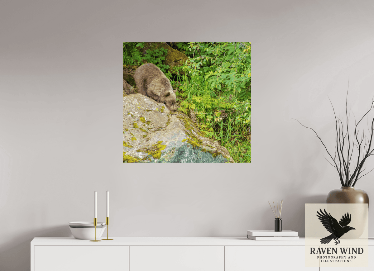 Raven Wind Photography & Illustrations-Learning the Ropes Fine Art Wildlife Print -