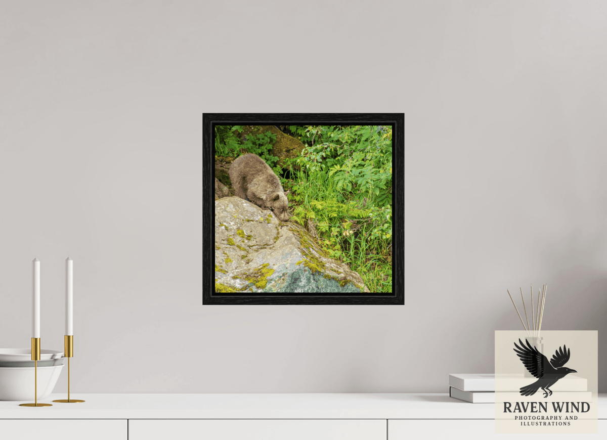 Raven Wind Photography & Illustrations-Learning the Ropes Fine Art Wildlife Print -