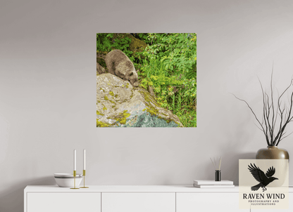 Raven Wind Photography & Illustrations-Learning the Ropes Fine Art Wildlife Print -