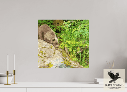 Raven Wind Photography & Illustrations-Learning the Ropes Fine Art Wildlife Print -