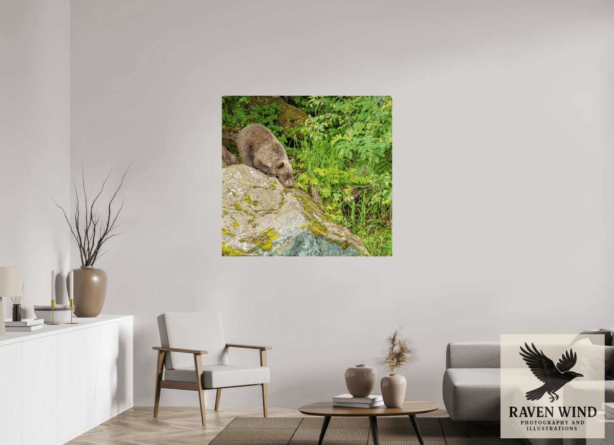 Raven Wind Photography & Illustrations-Learning the Ropes Fine Art Wildlife Print -