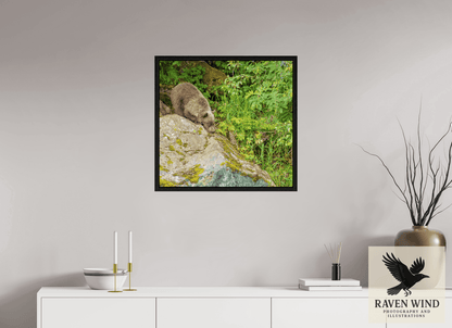 Raven Wind Photography & Illustrations-Learning the Ropes Fine Art Wildlife Print -