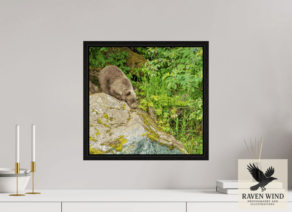 Raven Wind Photography & Illustrations-Learning the Ropes Fine Art Wildlife Print -