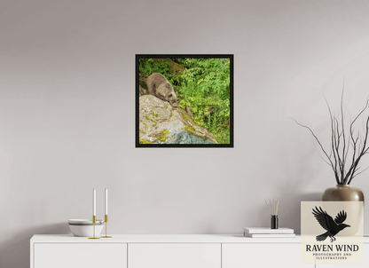 Raven Wind Photography & Illustrations-Learning the Ropes Fine Art Wildlife Print -