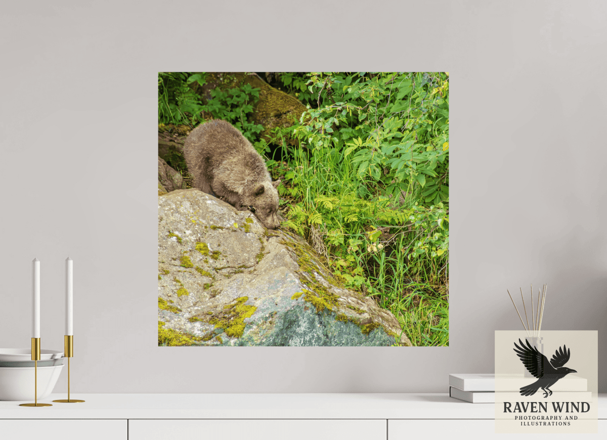 Raven Wind Photography & Illustrations-Learning the Ropes Fine Art Wildlife Print -