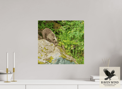 Raven Wind Photography & Illustrations-Learning the Ropes Fine Art Wildlife Print -