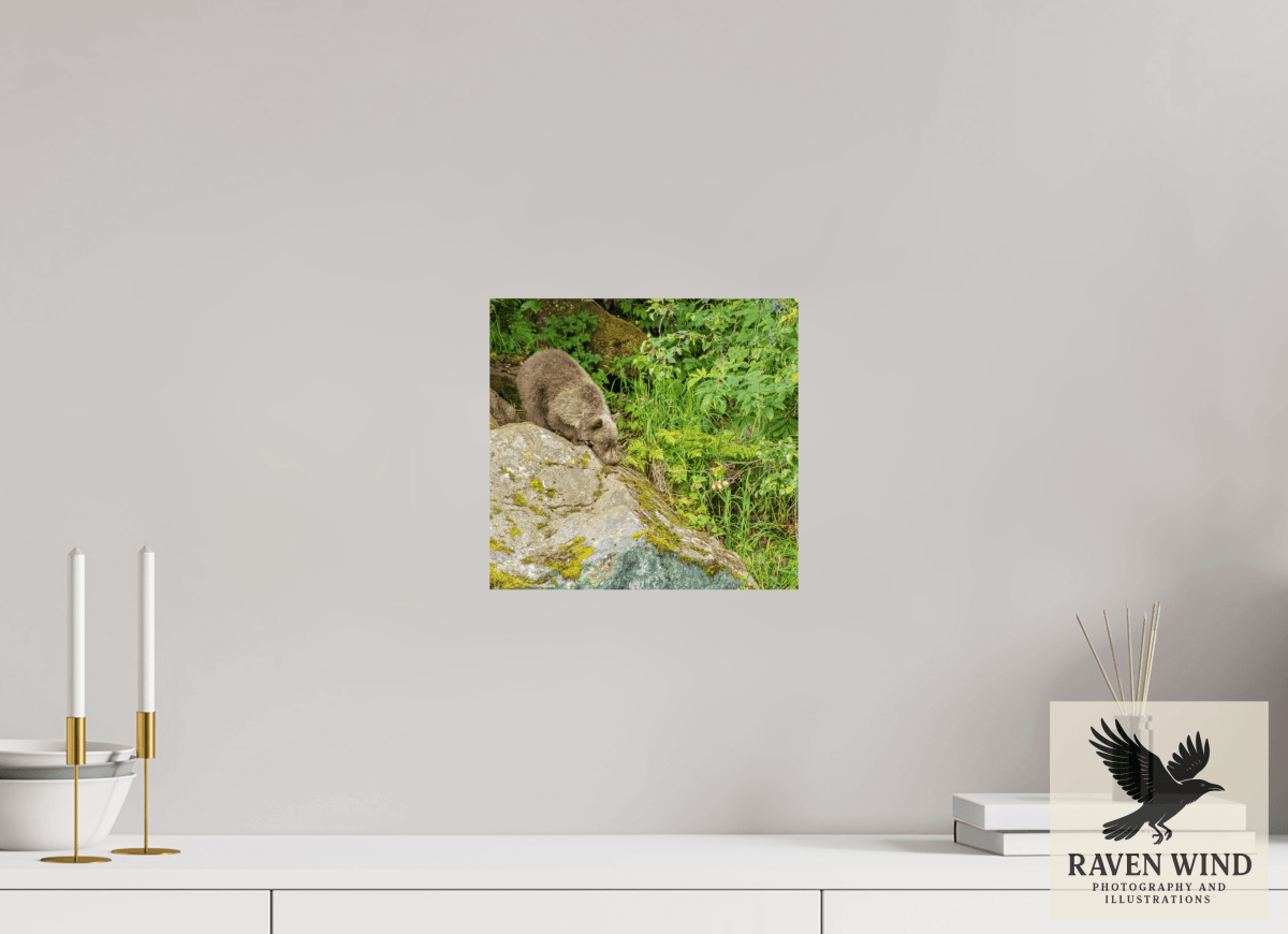 Raven Wind Photography & Illustrations-Learning the Ropes Fine Art Wildlife Print -