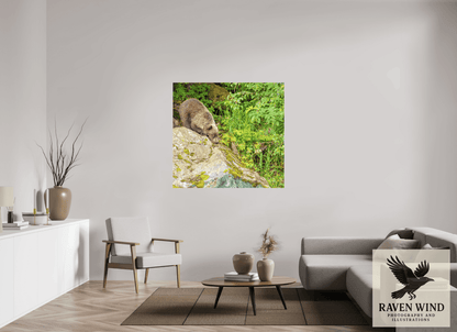 Raven Wind Photography & Illustrations-Learning the Ropes Fine Art Wildlife Print -