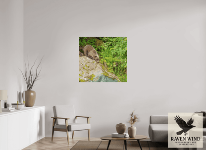 Raven Wind Photography & Illustrations-Learning the Ropes Fine Art Wildlife Print -