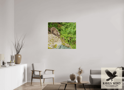 Raven Wind Photography & Illustrations-Learning the Ropes Fine Art Wildlife Print -