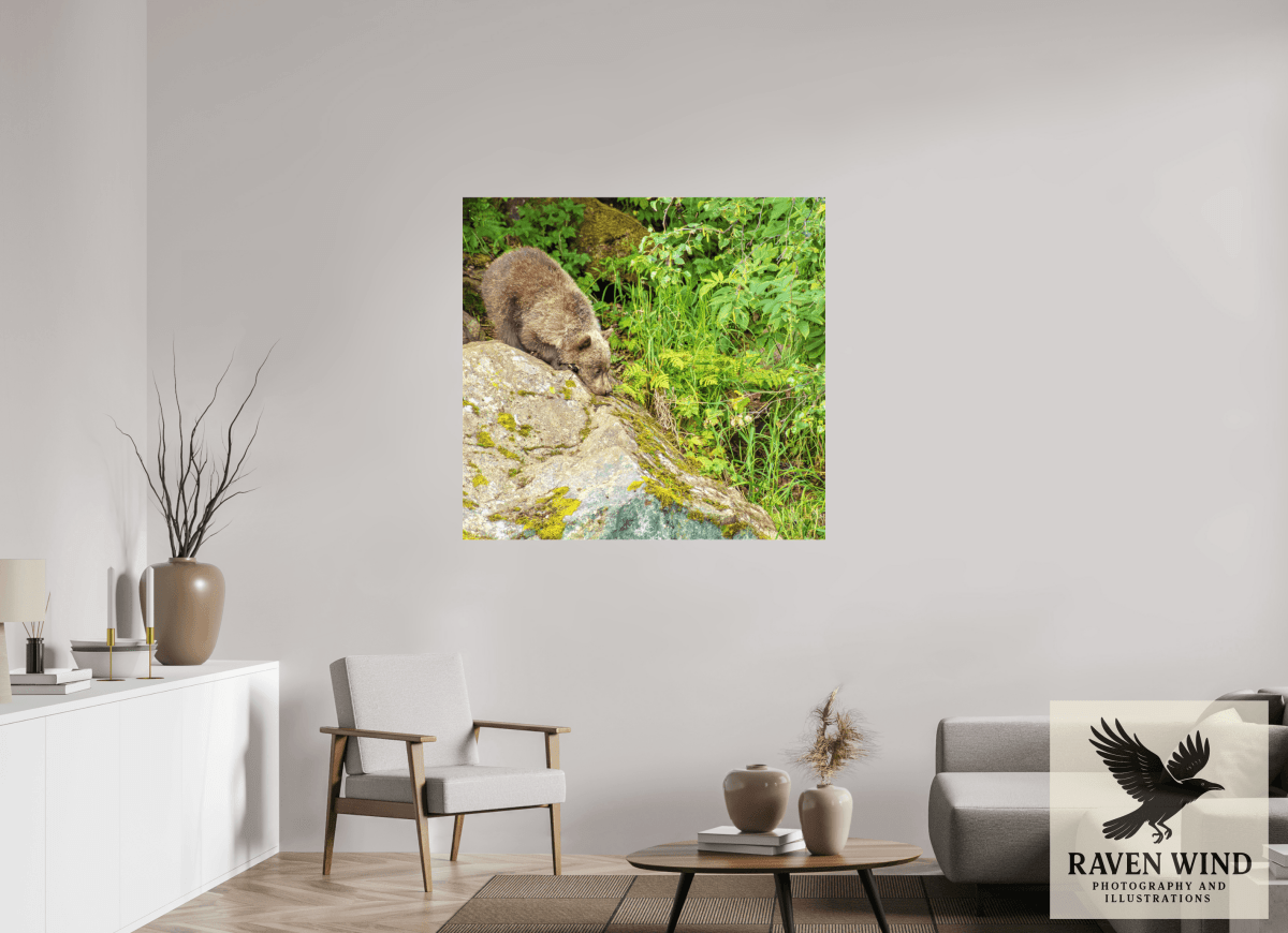 Raven Wind Photography & Illustrations-Learning the Ropes Fine Art Wildlife Print -