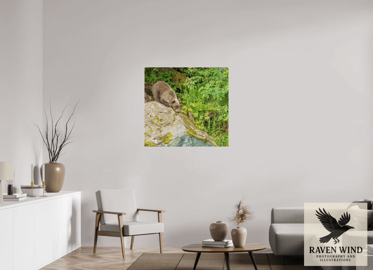 Raven Wind Photography & Illustrations-Learning the Ropes Fine Art Wildlife Print -