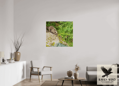 Raven Wind Photography & Illustrations-Learning the Ropes Fine Art Wildlife Print -