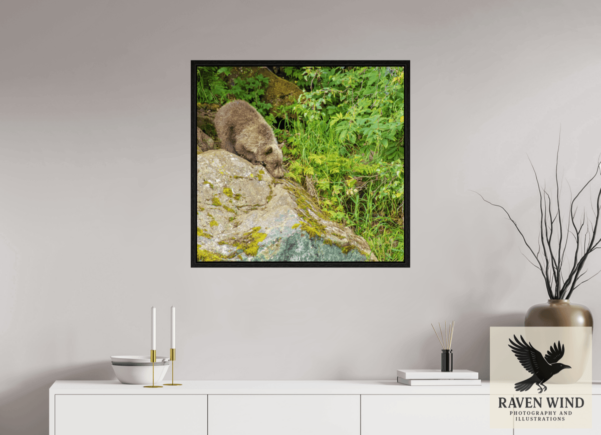 Raven Wind Photography & Illustrations-Learning the Ropes Fine Art Wildlife Print -
