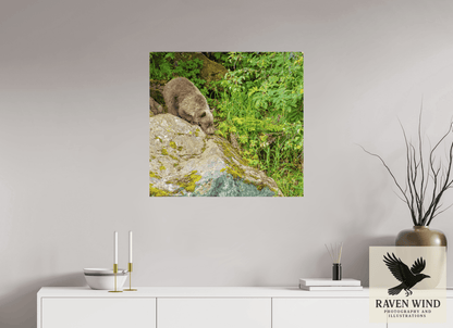 Raven Wind Photography & Illustrations-Learning the Ropes Fine Art Wildlife Print -