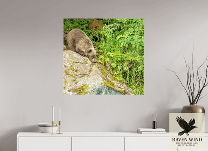 Raven Wind Photography & Illustrations-Learning the Ropes Fine Art Wildlife Print -