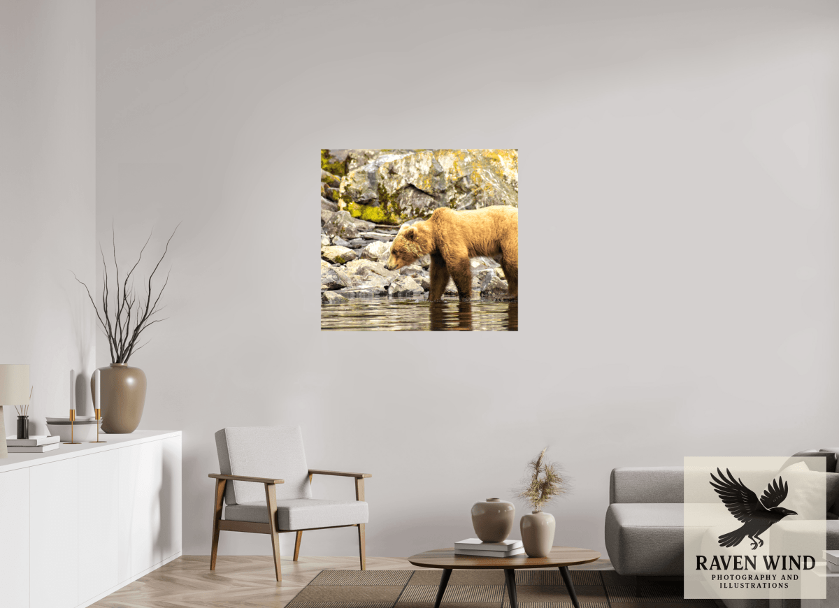 Raven Wind Photography & Illustrations-Looking for Dinner Fine Art Wildlife Print -