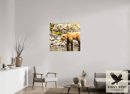 Raven Wind Photography & Illustrations-Looking for Dinner Fine Art Wildlife Print -