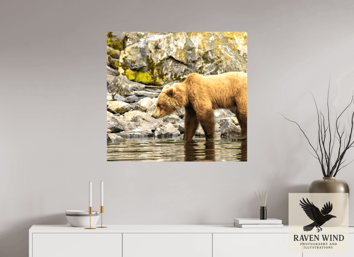 Raven Wind Photography & Illustrations-Looking for Dinner Fine Art Wildlife Print -