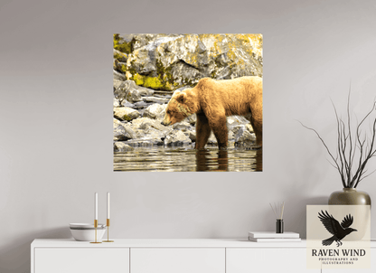 Raven Wind Photography & Illustrations-Looking for Dinner Fine Art Wildlife Print -