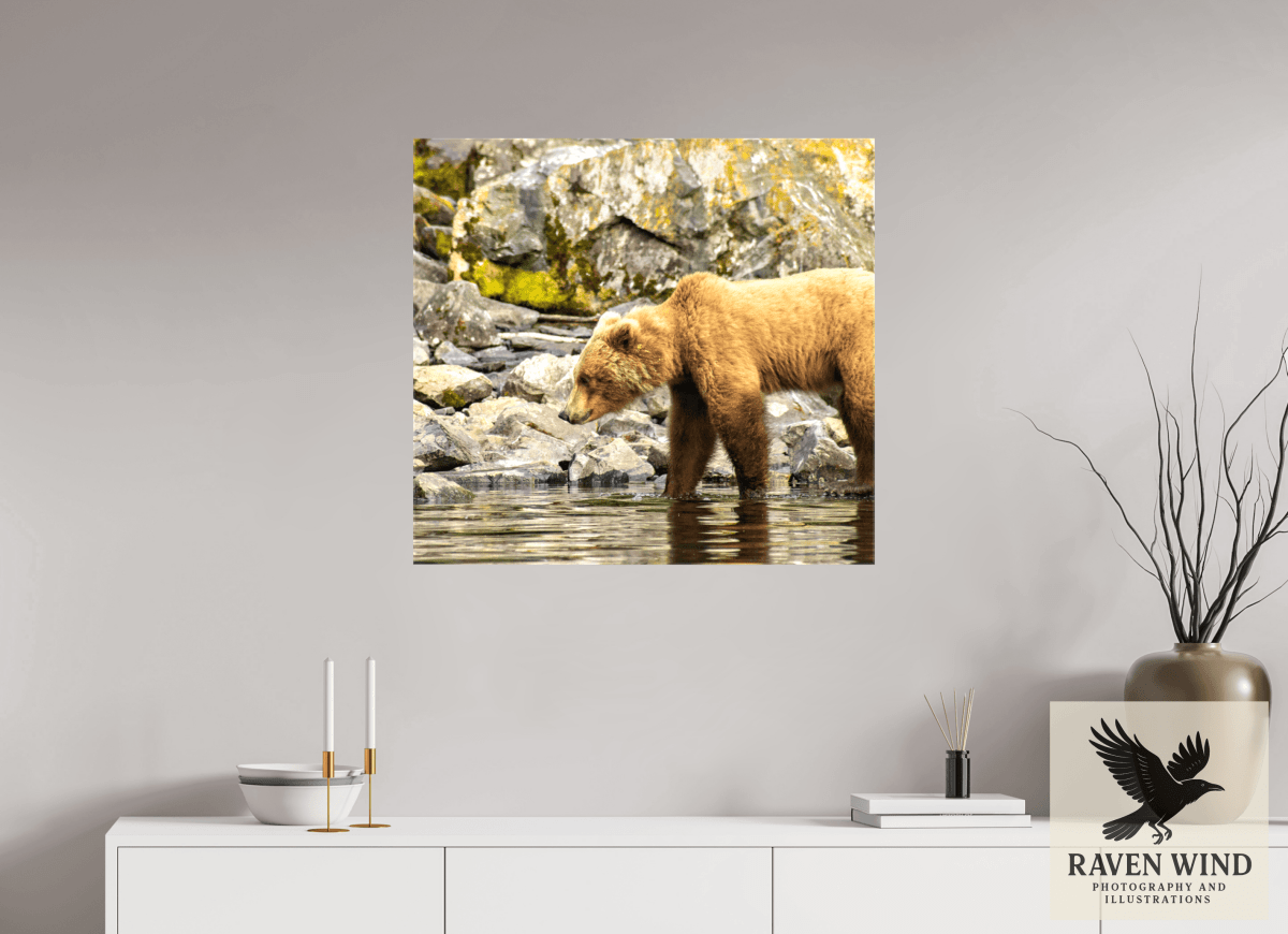 Raven Wind Photography & Illustrations-Looking for Dinner Fine Art Wildlife Print -