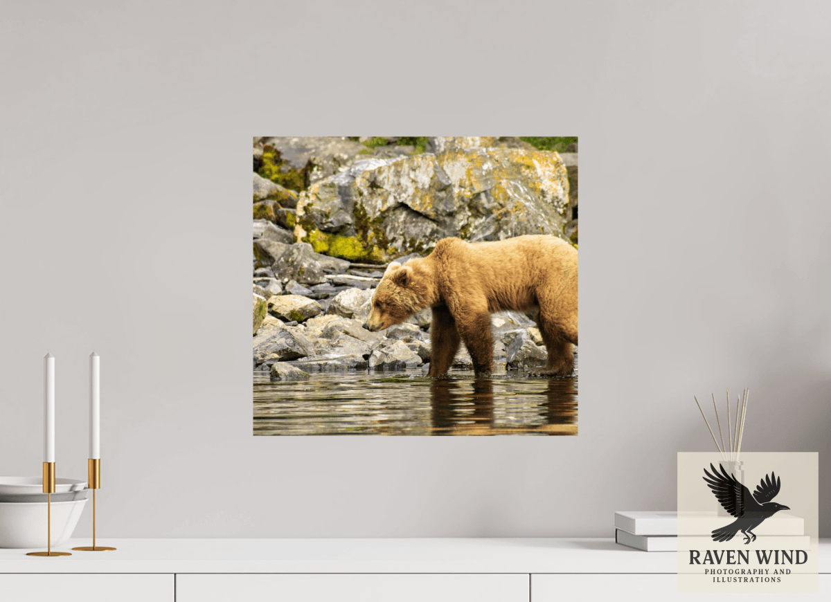 Raven Wind Photography & Illustrations-Looking for Dinner Fine Art Wildlife Print -