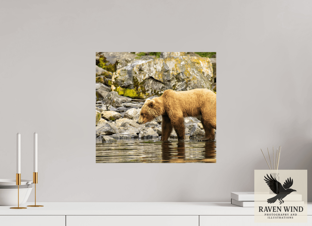 Raven Wind Photography & Illustrations-Looking for Dinner Fine Art Wildlife Print -