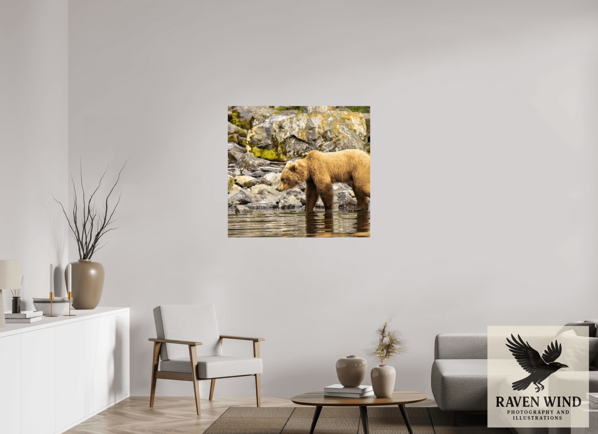 Raven Wind Photography & Illustrations-Looking for Dinner Fine Art Wildlife Print -