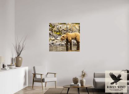 Raven Wind Photography & Illustrations-Looking for Dinner Fine Art Wildlife Print -