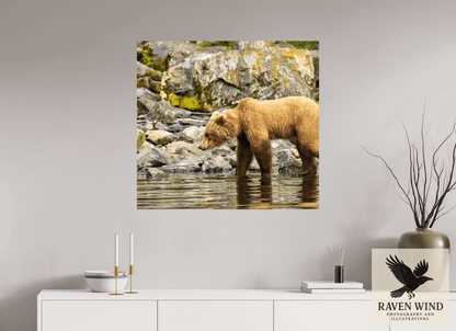 Raven Wind Photography & Illustrations-Looking for Dinner Fine Art Wildlife Print -