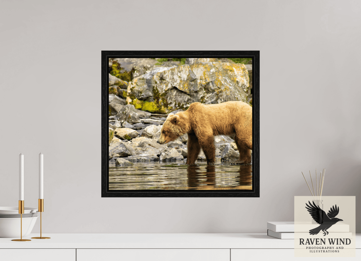 Raven Wind Photography & Illustrations-Looking for Dinner Fine Art Wildlife Print -