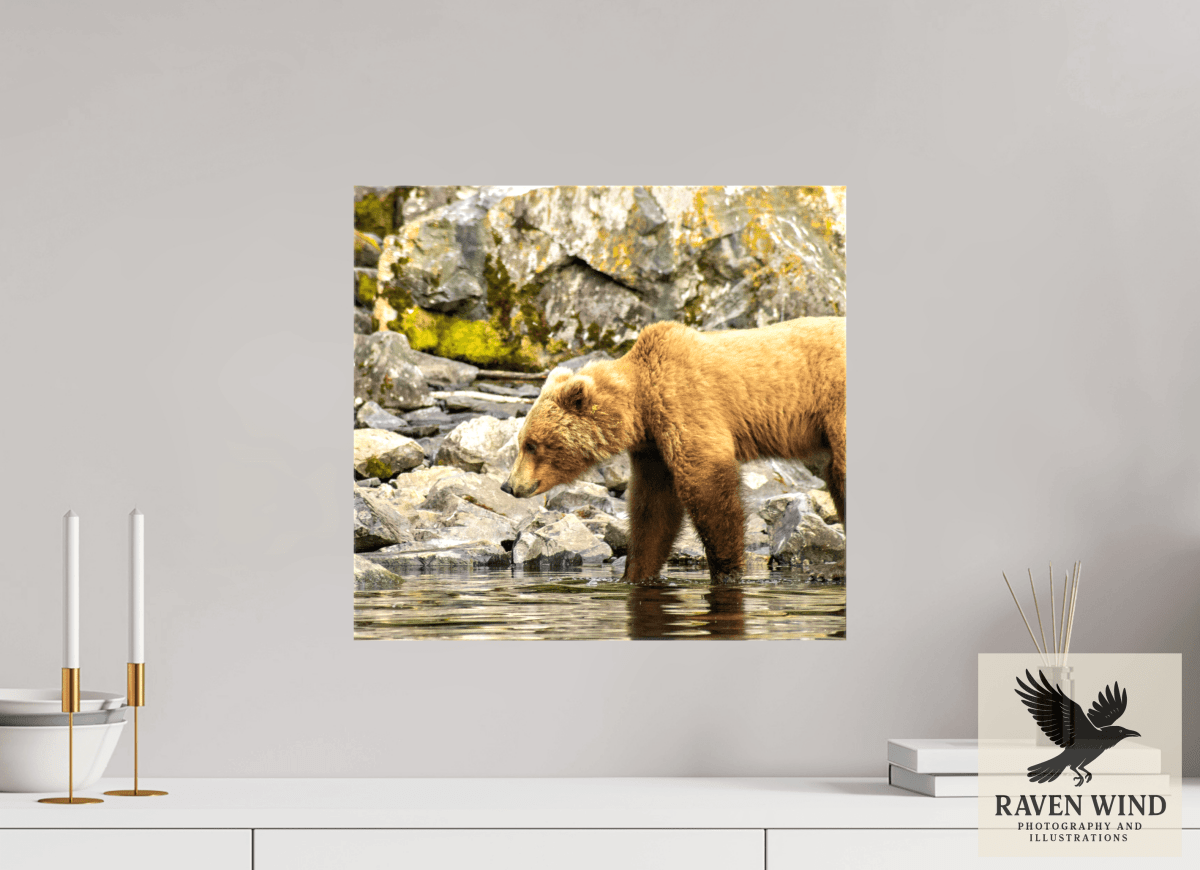 Raven Wind Photography & Illustrations-Looking for Dinner Fine Art Wildlife Print -