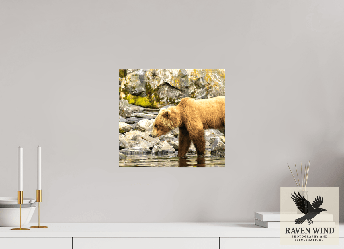 Raven Wind Photography & Illustrations-Looking for Dinner Fine Art Wildlife Print -