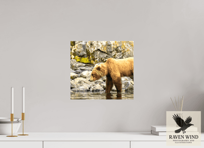 Raven Wind Photography & Illustrations-Looking for Dinner Fine Art Wildlife Print -