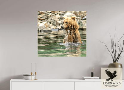 Raven Wind Photography & Illustrations-Missed the Catch - not the Moment! Fine Art Wildlife Print -