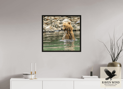 Raven Wind Photography & Illustrations-Missed the Catch - not the Moment! Fine Art Wildlife Print -