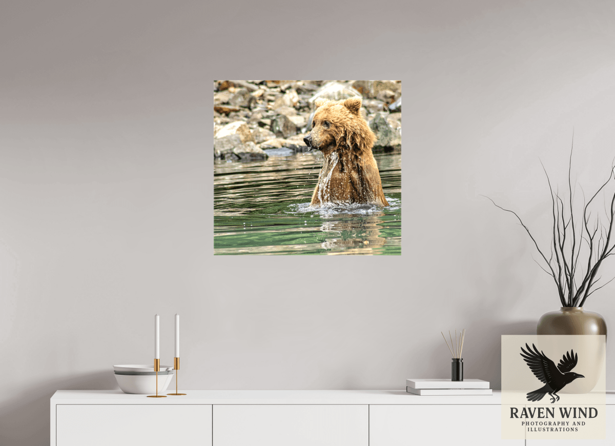 Raven Wind Photography & Illustrations-Missed the Catch - not the Moment! Fine Art Wildlife Print -