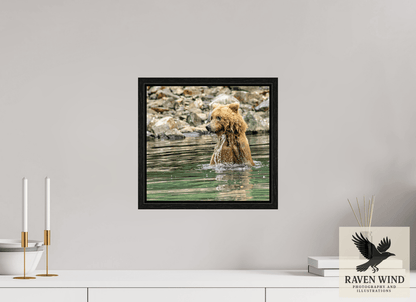 Raven Wind Photography & Illustrations-Missed the Catch - not the Moment! Fine Art Wildlife Print -