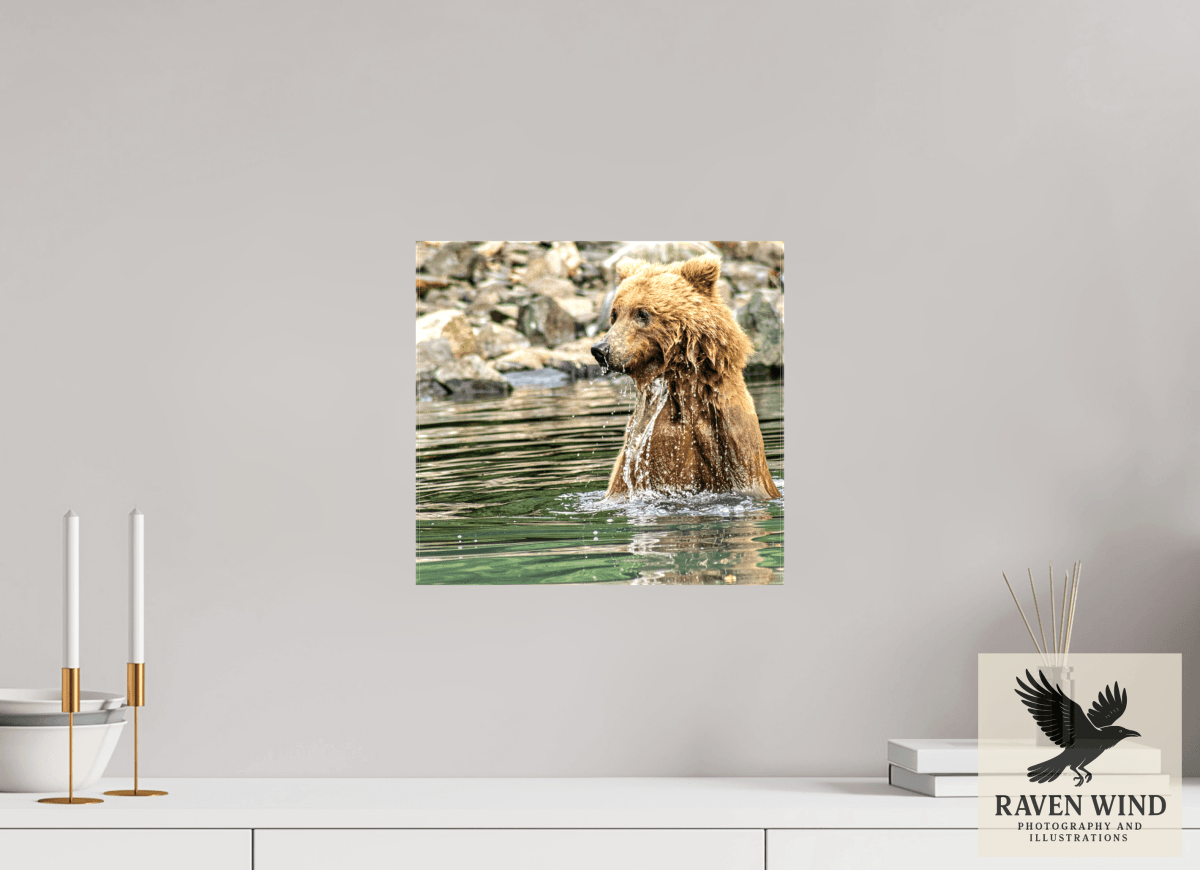 Raven Wind Photography & Illustrations-Missed the Catch - not the Moment! Fine Art Wildlife Print -