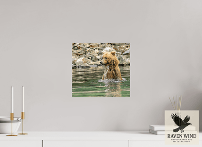 Raven Wind Photography & Illustrations-Missed the Catch - not the Moment! Fine Art Wildlife Print -