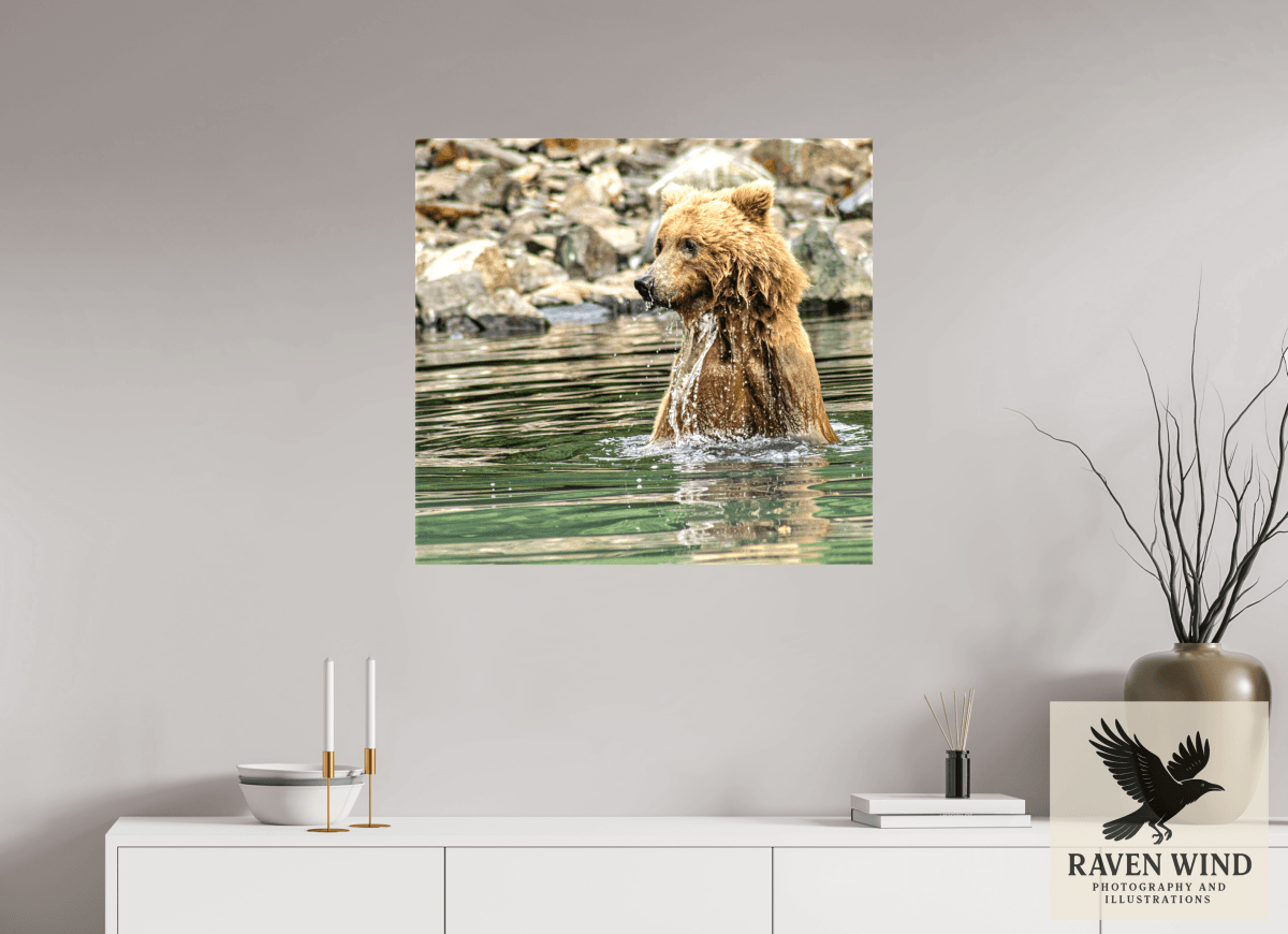 Raven Wind Photography & Illustrations-Missed the Catch - not the Moment! Fine Art Wildlife Print -