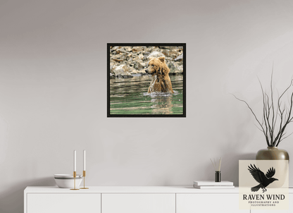 Raven Wind Photography & Illustrations-Missed the Catch - not the Moment! Fine Art Wildlife Print -