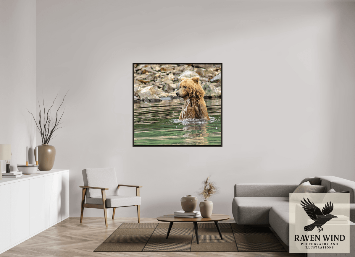 Raven Wind Photography & Illustrations-Missed the Catch - not the Moment! Fine Art Wildlife Print -