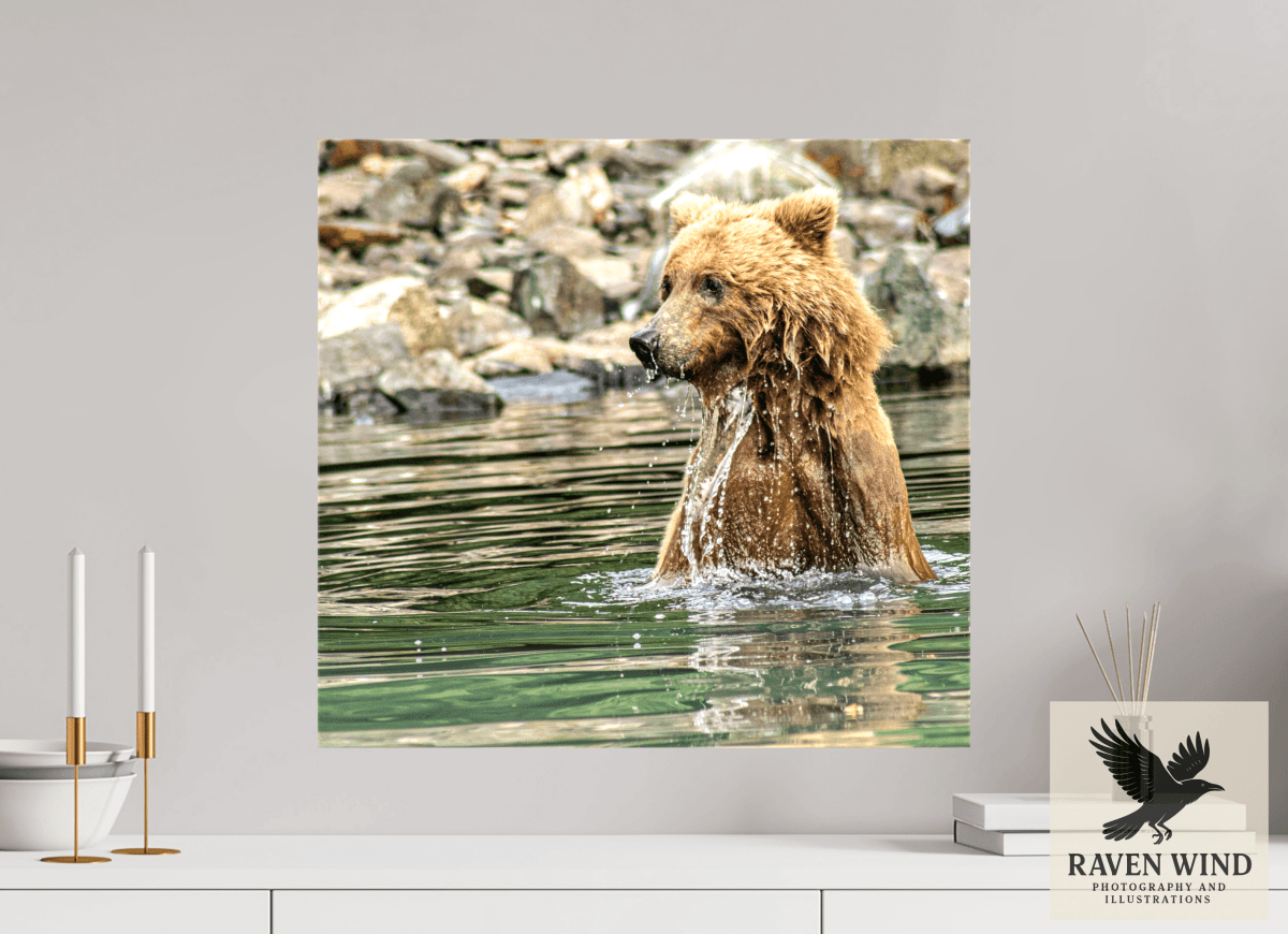 Raven Wind Photography & Illustrations-Missed the Catch - not the Moment! Fine Art Wildlife Print -