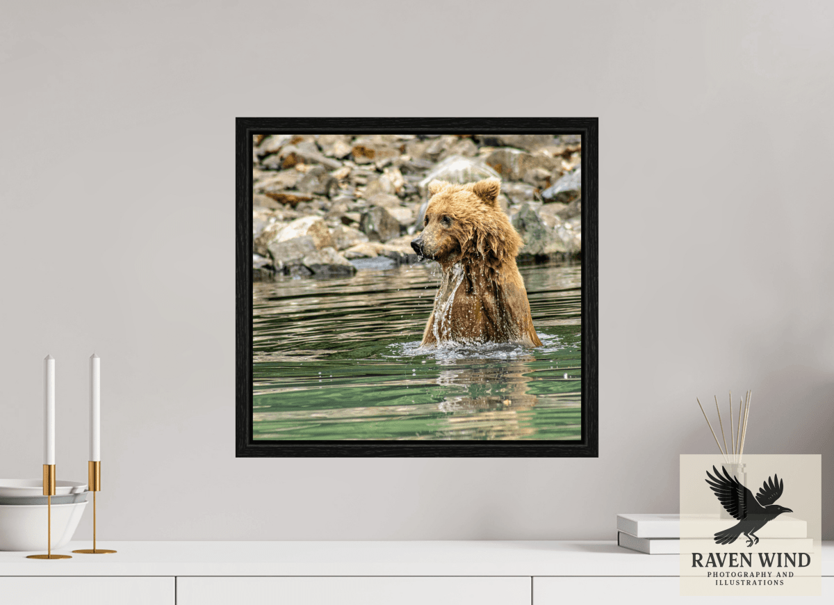 Raven Wind Photography & Illustrations-Missed the Catch - not the Moment! Fine Art Wildlife Print -